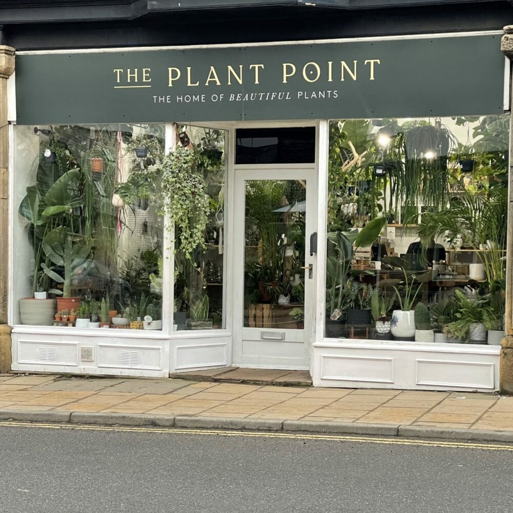 The Plant Point Ilkley